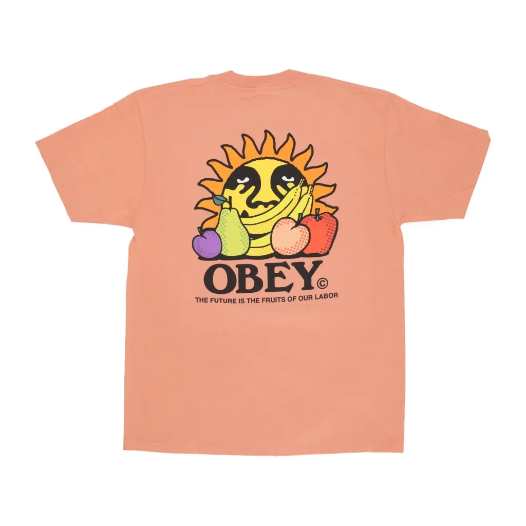 maglietta uomo the future is the fruits of our labor tee CITRUS