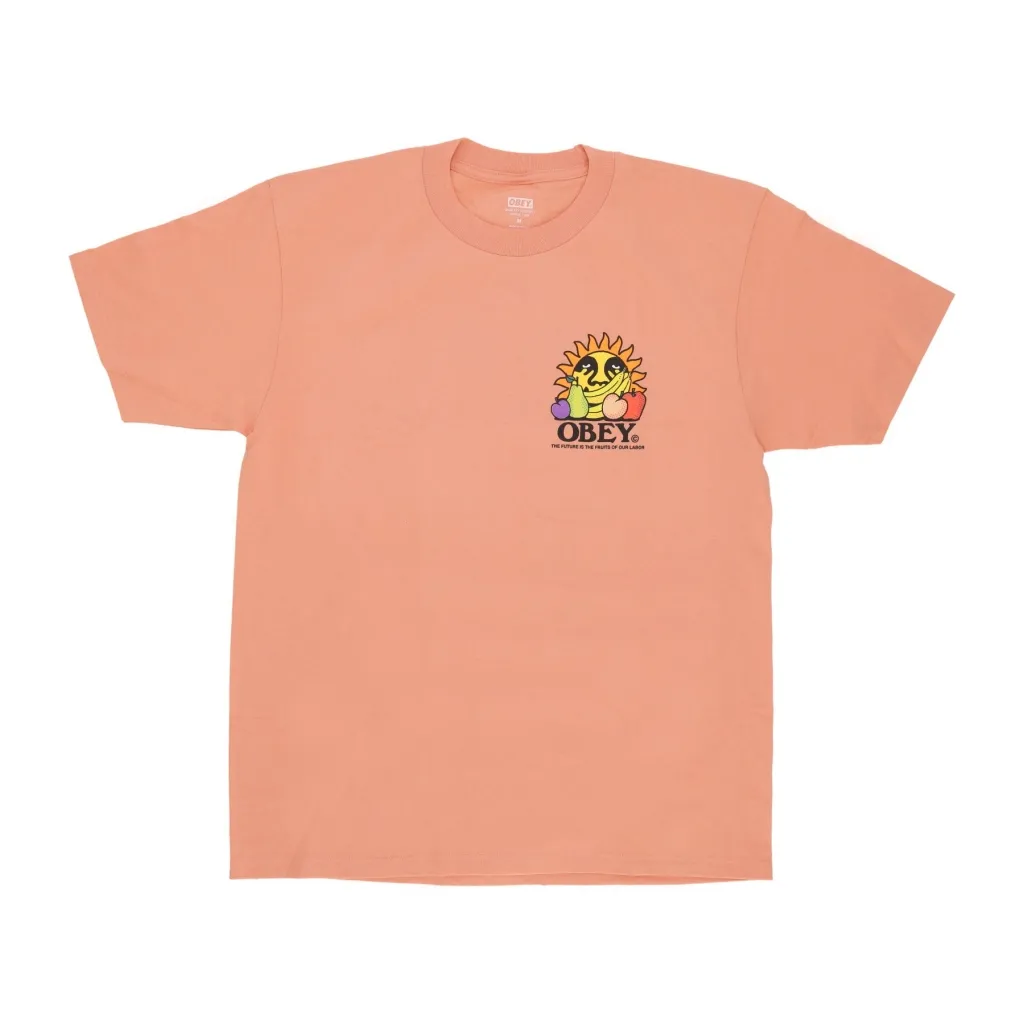 maglietta uomo the future is the fruits of our labor tee CITRUS