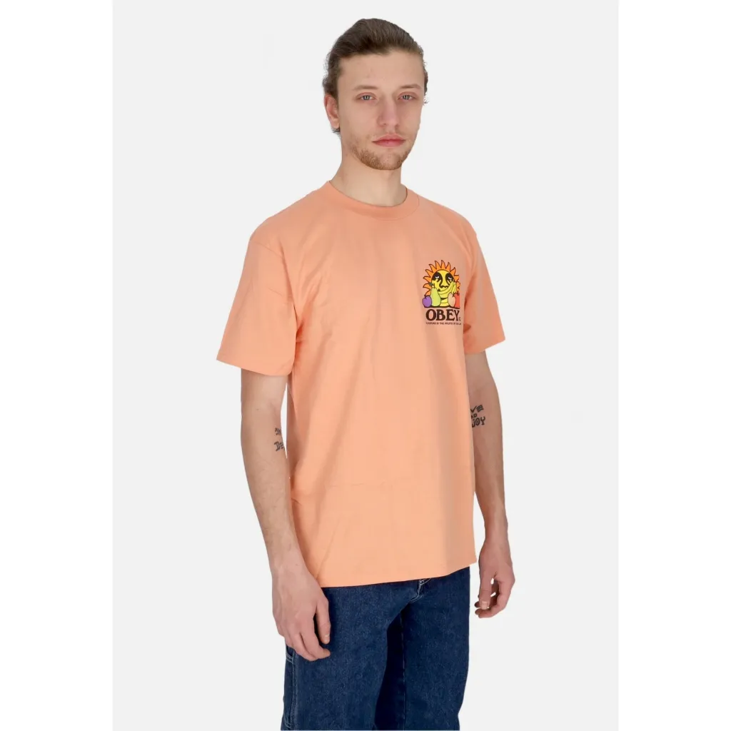 maglietta uomo the future is the fruits of our labor tee CITRUS